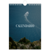Calendario fotografico A5 — Fuga infinita [copertina]