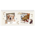 Calendari da tavolo — Cucciolo giocherellone [copertina]