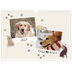 Calendario A3 orizzontale  — Cucciolo giocherellone [copertina]