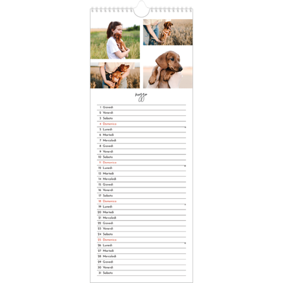 Calendario da cucina  — Disposizioni fotografiche [copertina]