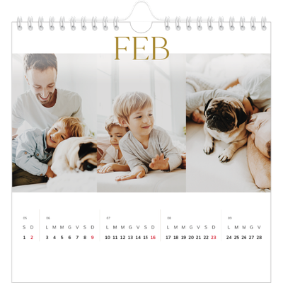 Calendari quadrati — Testo in grande d'oro [Febbraio]