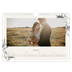 Calendario fotografico A4 — Inchiostro e edera [Gennaio]