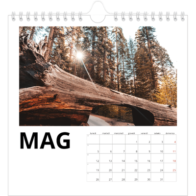 Calendari quadrati — White space [copertina]