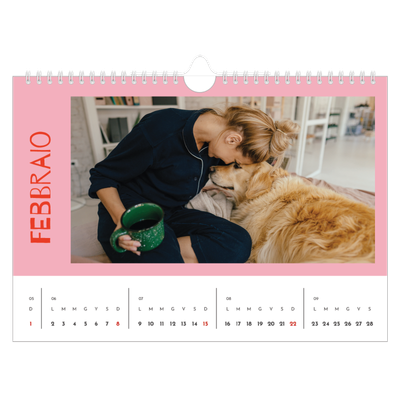Calendario fotografico A4 — Divertente colorato [Febbraio]