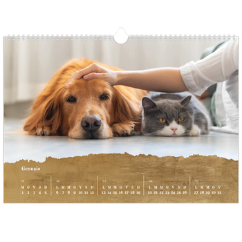 Calendario Fotografico A3 Orizzontale — Paillettes d'oro