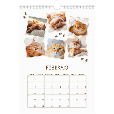 Calendario personalizzato A4 — Gattino giocherellone [Febbraio]