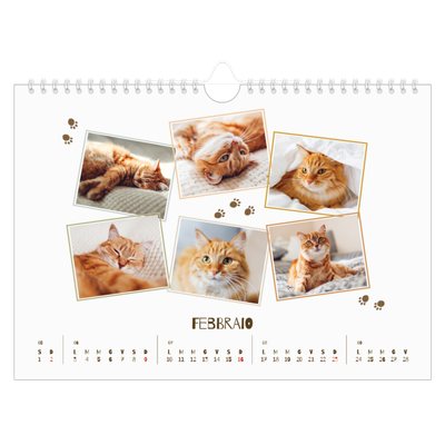 Calendario fotografico A4 — Gattino giocherellone [Febbraio]