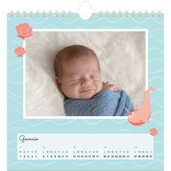 Calendario Fotografico Quadrato — Animali carini