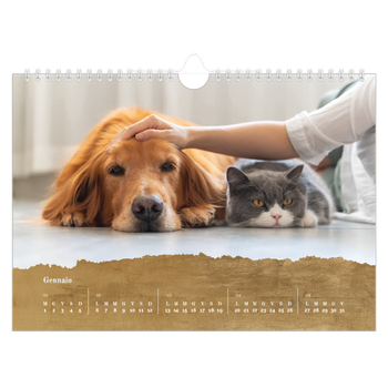 Calendario Fotografico A4 Orizzontale — Paillettes d'oro