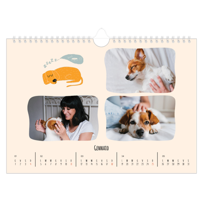 Calendario fotografico A4 — Zampette di cane e scarabocchi [Gennaio]