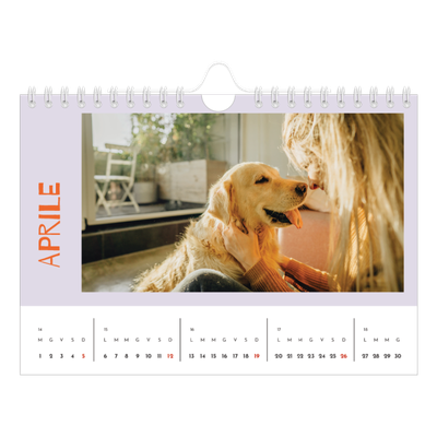 Calendario fotografico A5 — Divertente colorato [Aprile]