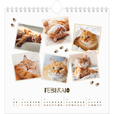 Calendari quadrati — Gattino giocherellone [Febbraio]