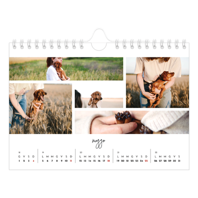 Calendario fotografico A5 — Disposizioni fotografiche [copertina]