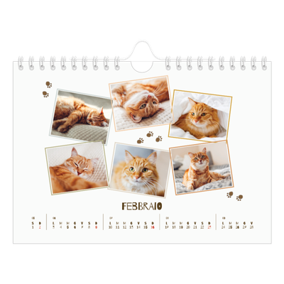 Calendario fotografico A5 — Gattino giocherellone [Febbraio]
