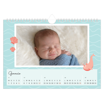 Calendario Fotografico A4 Orizzontale — Animali carini