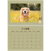 Calendario A4 Doppio — Cucciolo giocherellone [copertina]