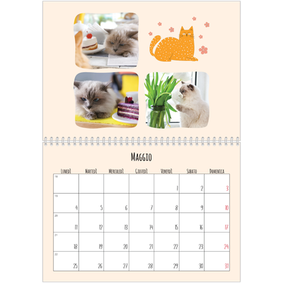 Calendario A4 Doppio — Zampette di gatto e scarabocchi [copertina]