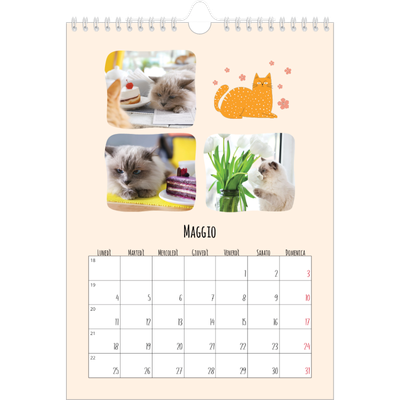 Calendario personalizzato A4 — Zampette di gatto e scarabocchi [copertina]