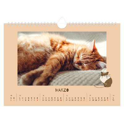 Calendario fotografico A4 — Gattino giocherellone [Marzo]