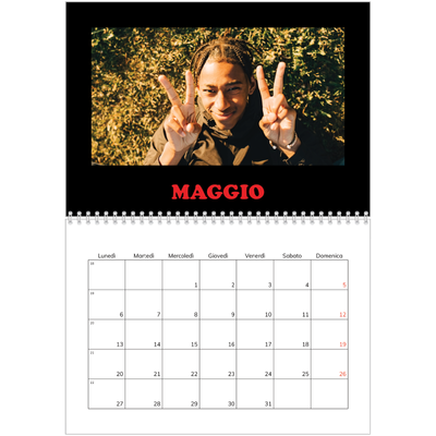 Calendario A4 Doppio — Tipo divertente [copertina]