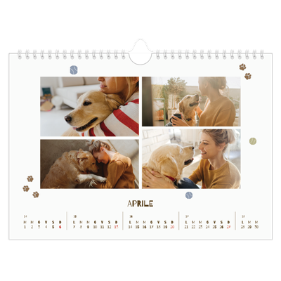 Calendario fotografico A4 — Cucciolo giocherellone [Aprile]