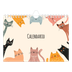 Calendario fotografico A5 — Zampette di gatto e scarabocchi [copertina]