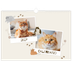 Calendario A3 orizzontale  — Gattino giocherellone [copertina]