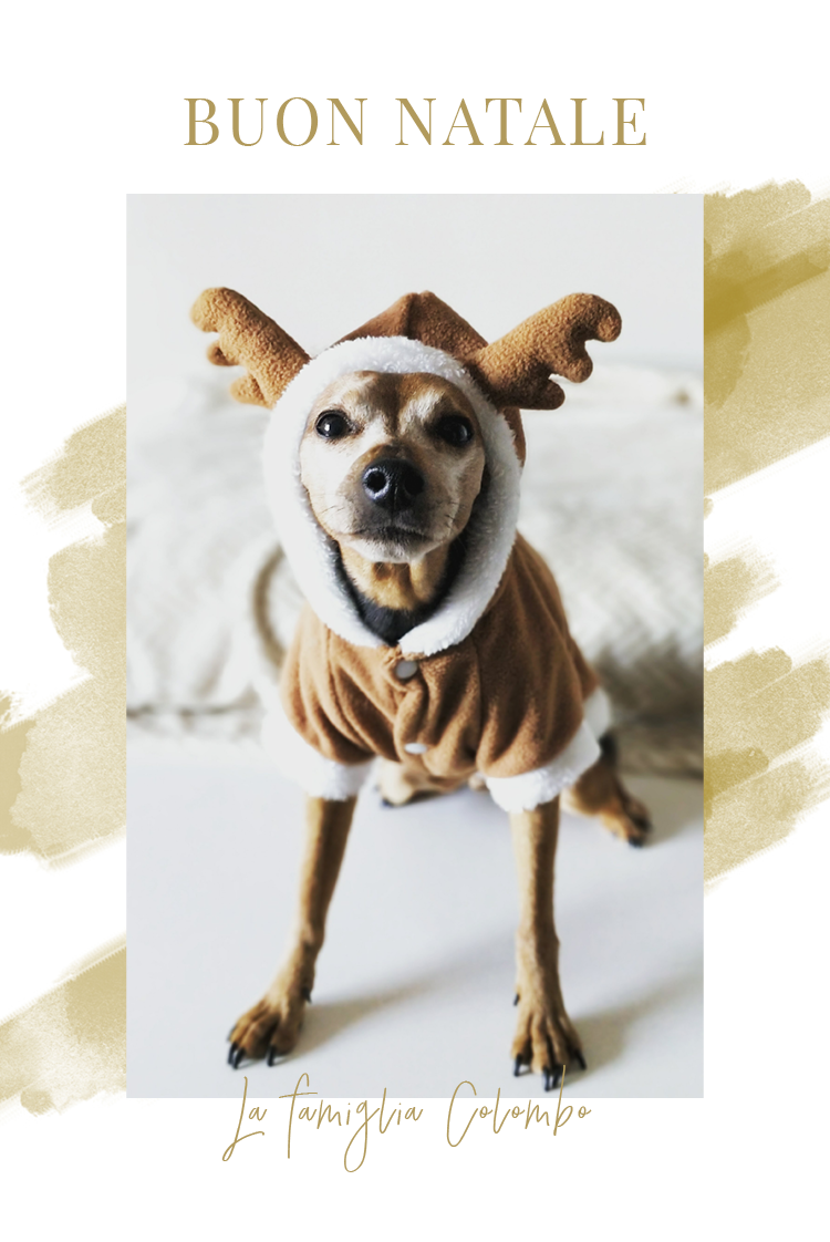 Biglietti — Acquerello d'oro