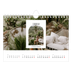 Calendario fotografico A5 — L'arco aperto [Febbraio]