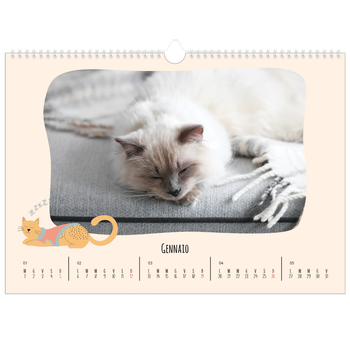 Calendario Fotografico A3 Orizzontale — Zampette di gatto e scarabocchi