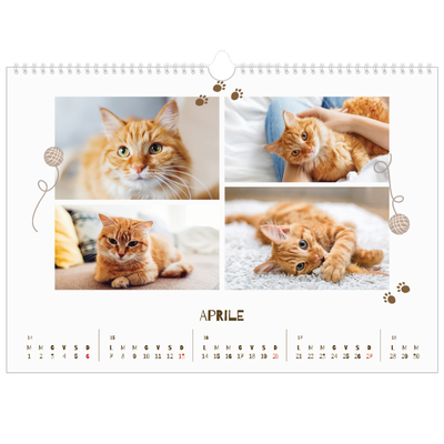 Calendario A3 orizzontale  — Gattino giocherellone [Aprile]