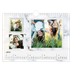 Calendario fotografico A4 — Collezione di immagini [Aprile]