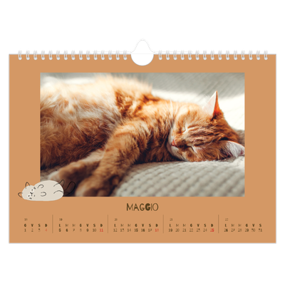 Calendario fotografico A4 — Gattino giocherellone [copertina]