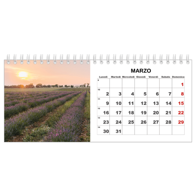Calendari da tavolo — Foto semplice [Marzo]