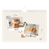 Calendario fotografico A5 — Gattino giocherellone [copertina]