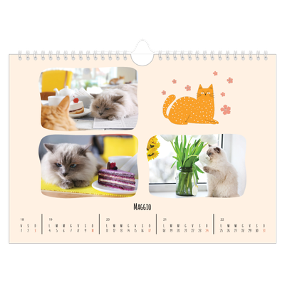 Calendario fotografico A4 — Zampette di gatto e scarabocchi [copertina]