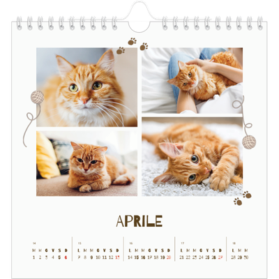 Calendari quadrati — Gattino giocherellone [Aprile]