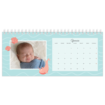 Calendario Fotografico da Tavolo — Animali carini