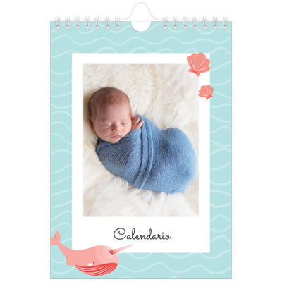 Calendario fotografico A5 — Animali carini [copertina]