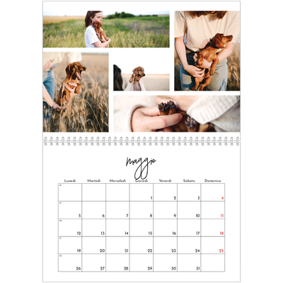 Calendario A4 Doppio — Disposizioni fotografiche [copertina]