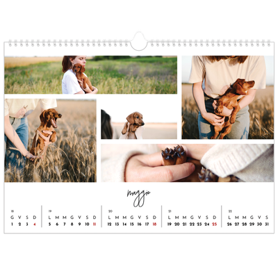 Calendario A3 orizzontale  — Disposizioni fotografiche [copertina]
