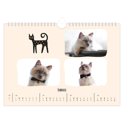Calendario fotografico A4 — Zampette di gatto e scarabocchi [Febbraio]