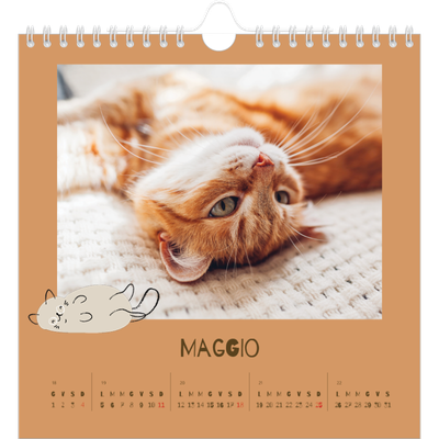 Calendari quadrati — Gattino giocherellone [copertina]