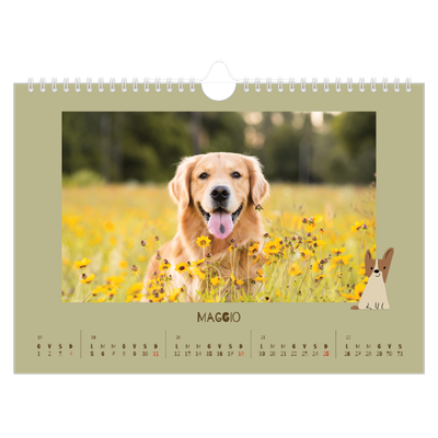 Calendario fotografico A4 — Cucciolo giocherellone [copertina]