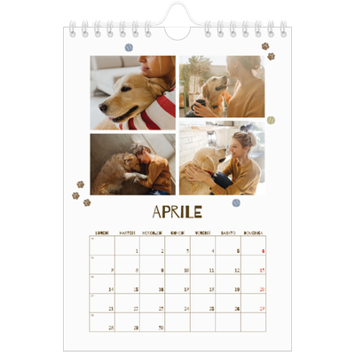 Calendario fotografico A5 — Cucciolo giocherellone [Aprile]