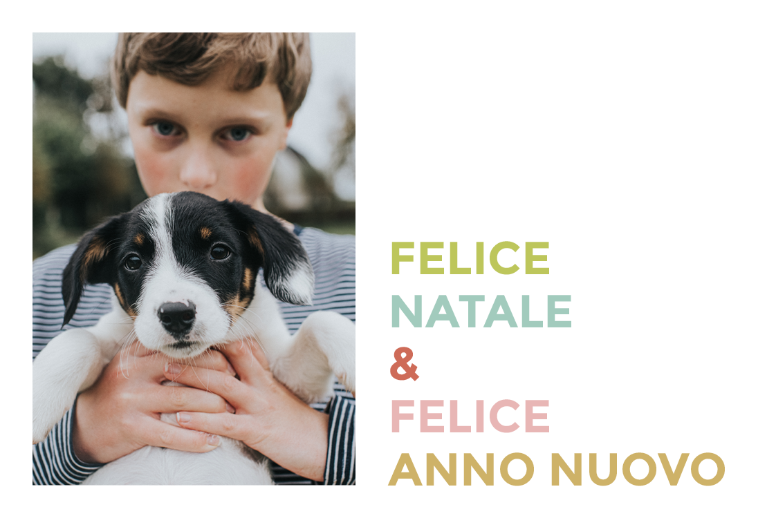 Biglietti — Tipo colorato