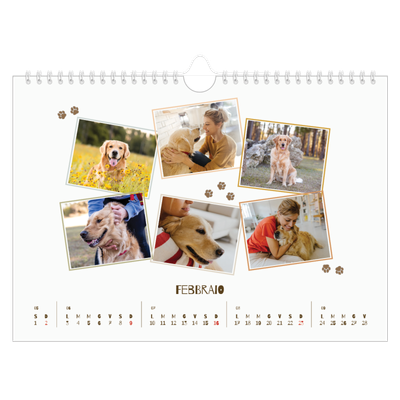 Calendario fotografico A4 — Cucciolo giocherellone [Febbraio]