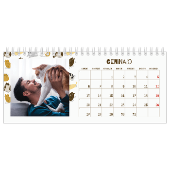 Calendario Fotografico da Tavolo — Gattino giocherellone