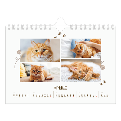 Calendario fotografico A5 — Gattino giocherellone [Aprile]