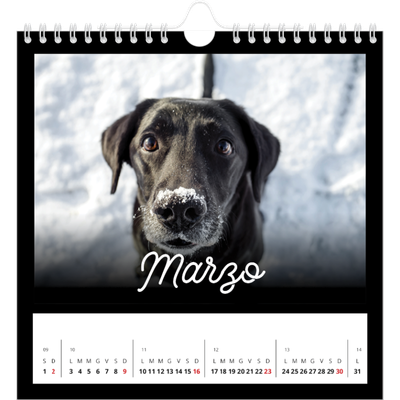 Calendari quadrati — Minimale nero [Marzo]